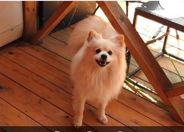 Кемпінг ла пуеста де соль