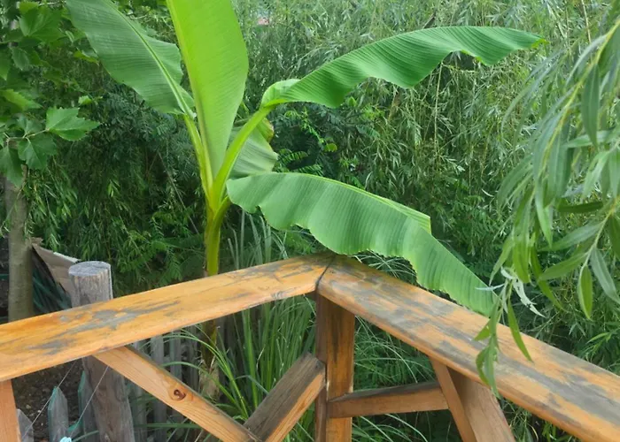 ла пуеста де соль Μπουργκάς