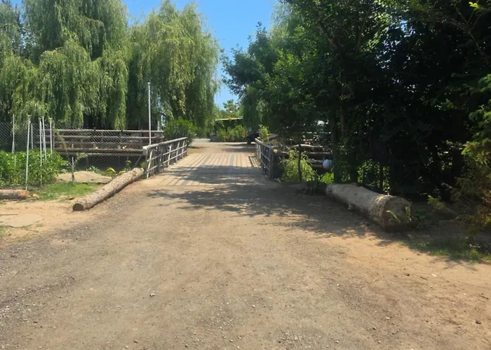 ла пуеста де соль